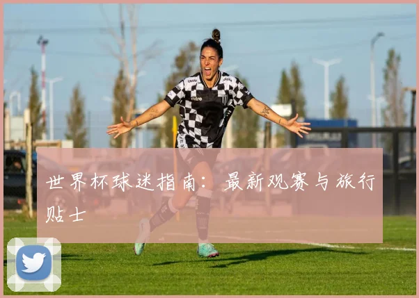 世界杯球迷指南：最新观赛与旅行贴士